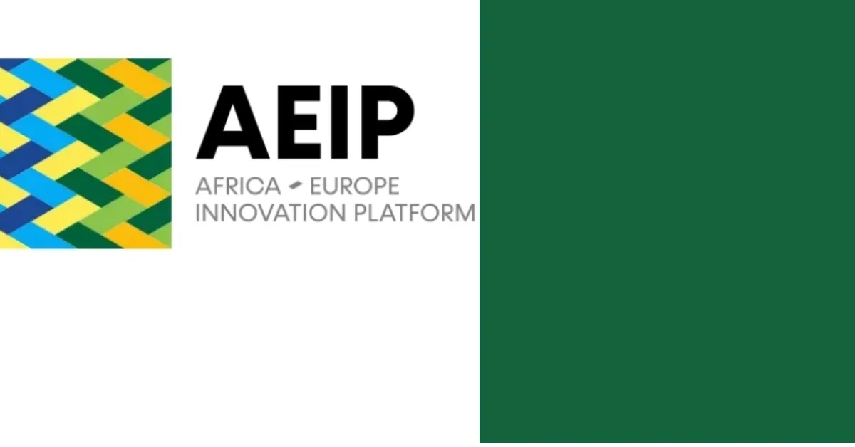 AEIP Scholars Programme